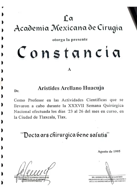 Profesor — actividades científicas de la Academia Mexicana de Cirugía — Academia Mexicana de Cirugía · 1995