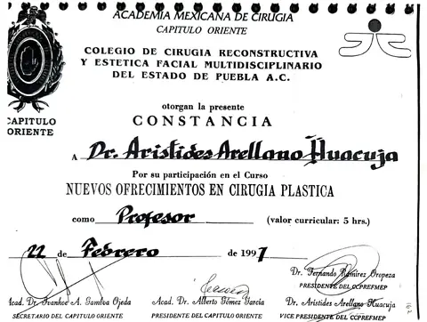 Nuevos ofrecimientos en cirugía plástica y estética facial — Academia Mexicana de Cirugía, Capítulo Oriente / Colegio Multidisciplinario · 1997
