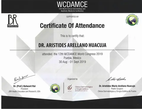 Certificado de asistencia — 12º WCDAMCE — 12th World Congress · Puebla, 2019