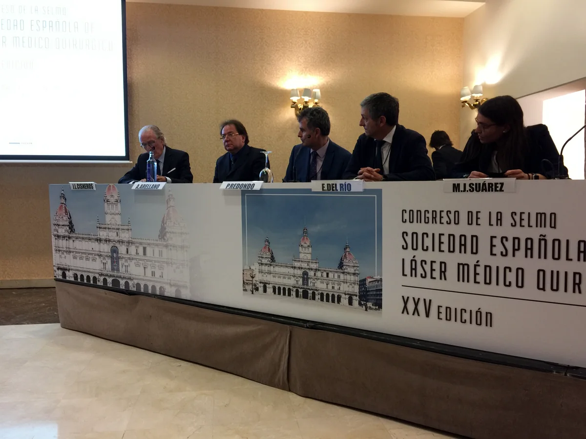 SELMQ · Panel de expertos — A Coruña, España · 2017